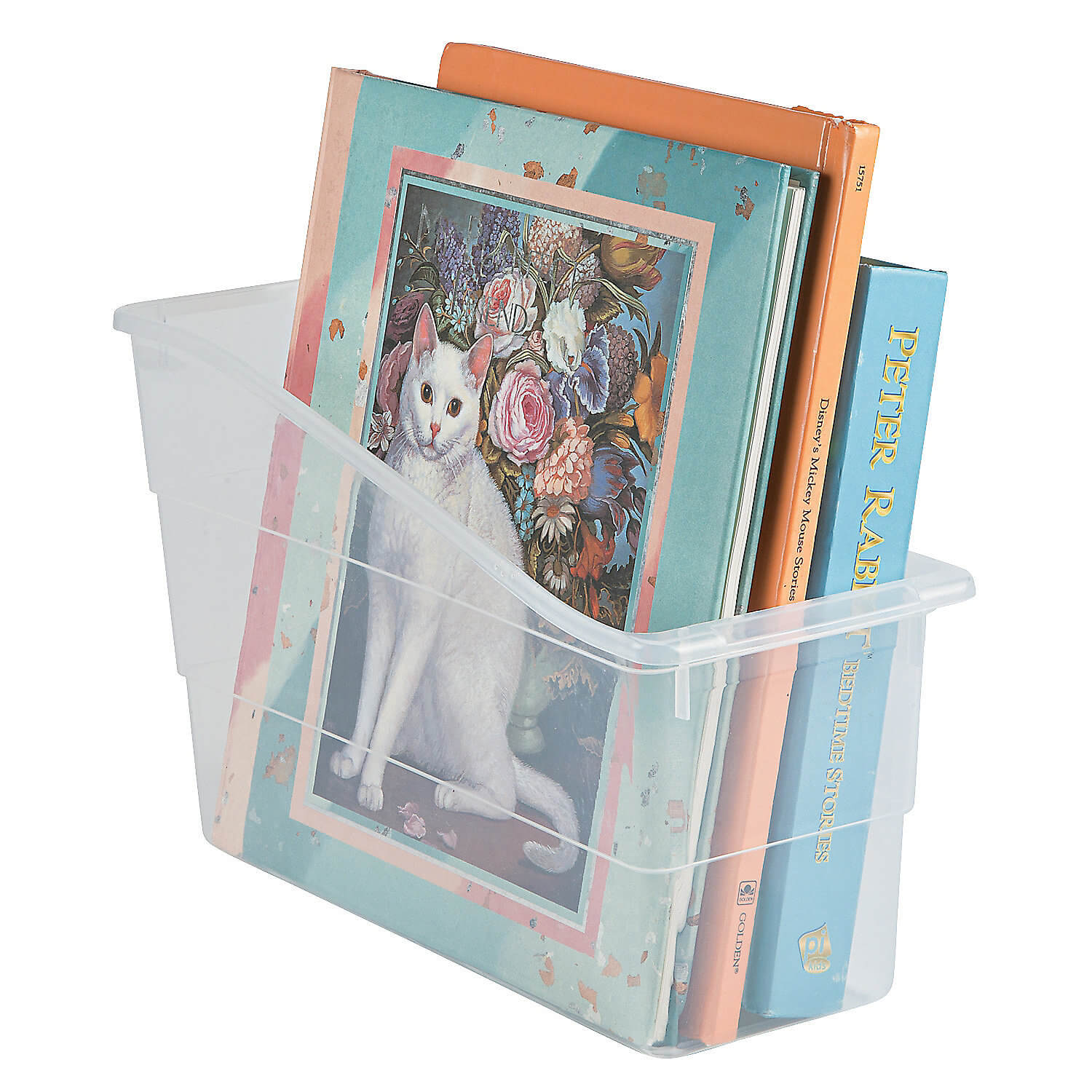 W13673667 Clear Classroom Book Organizers - 6 Pc.