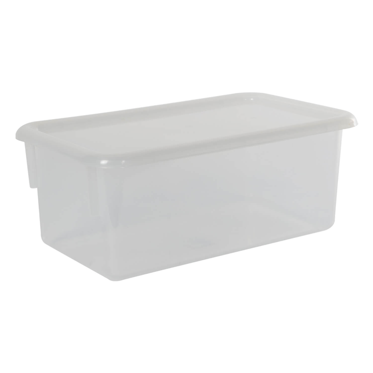 W17263193 Clear-View Storage Box with Lid