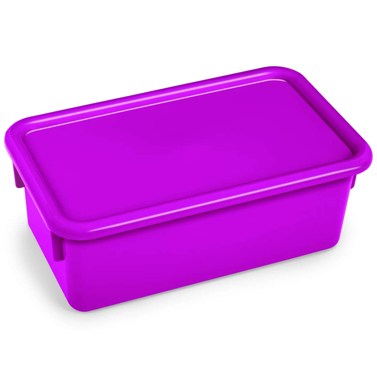 W17263589 Neon Heavy-Duty Storage Box with Lid