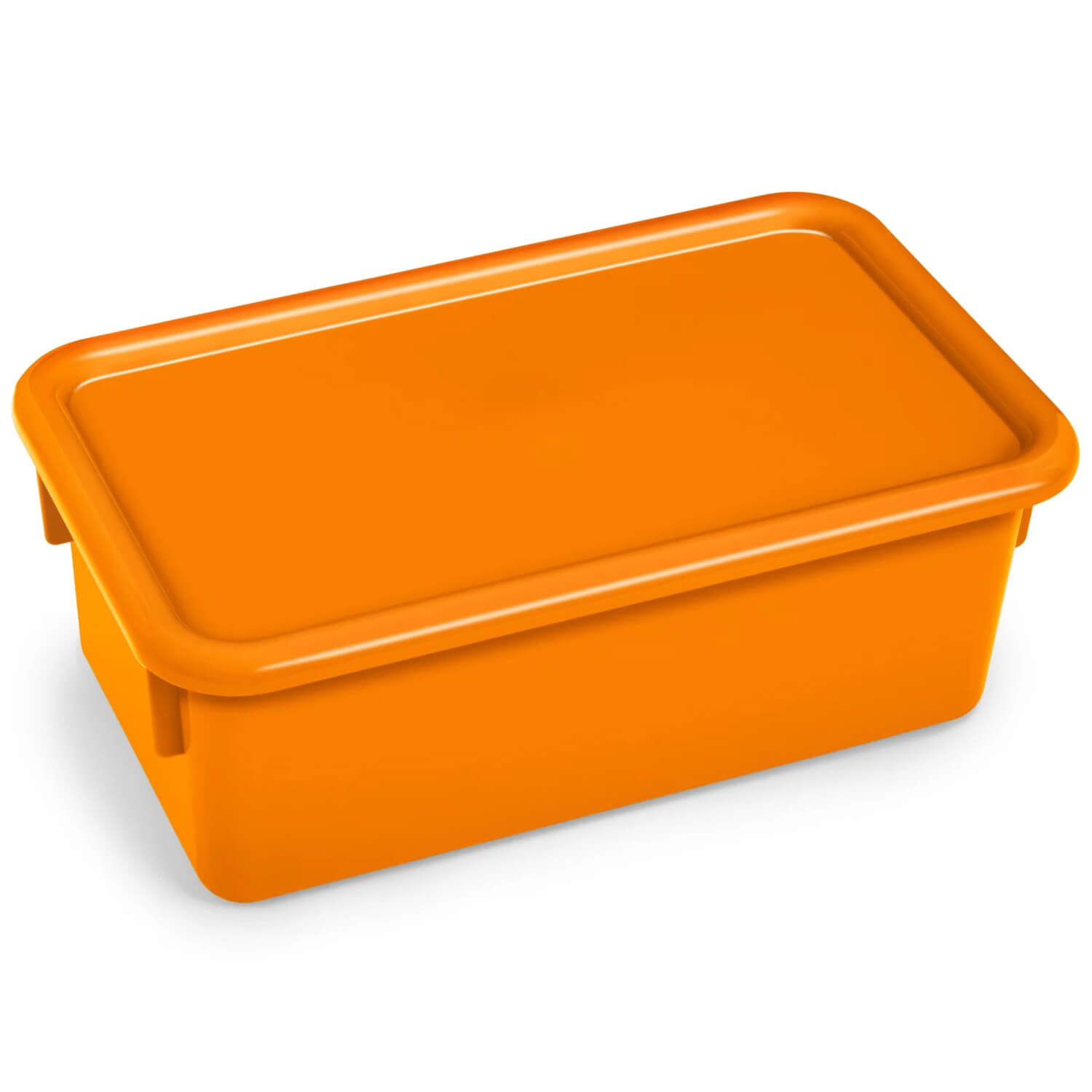 W17263589 Neon Heavy-Duty Storage Box with Lid