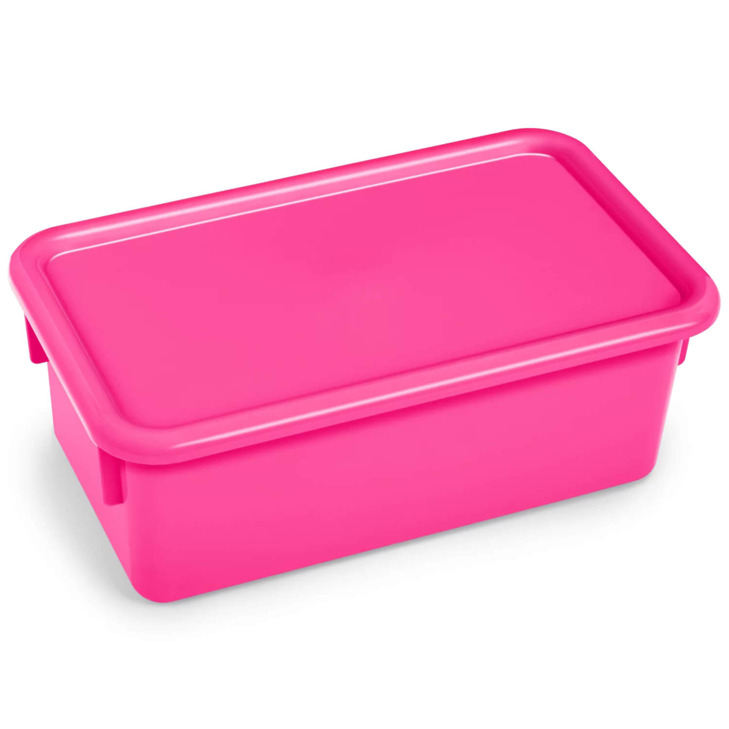 W17263589 Neon Heavy-Duty Storage Box with Lid