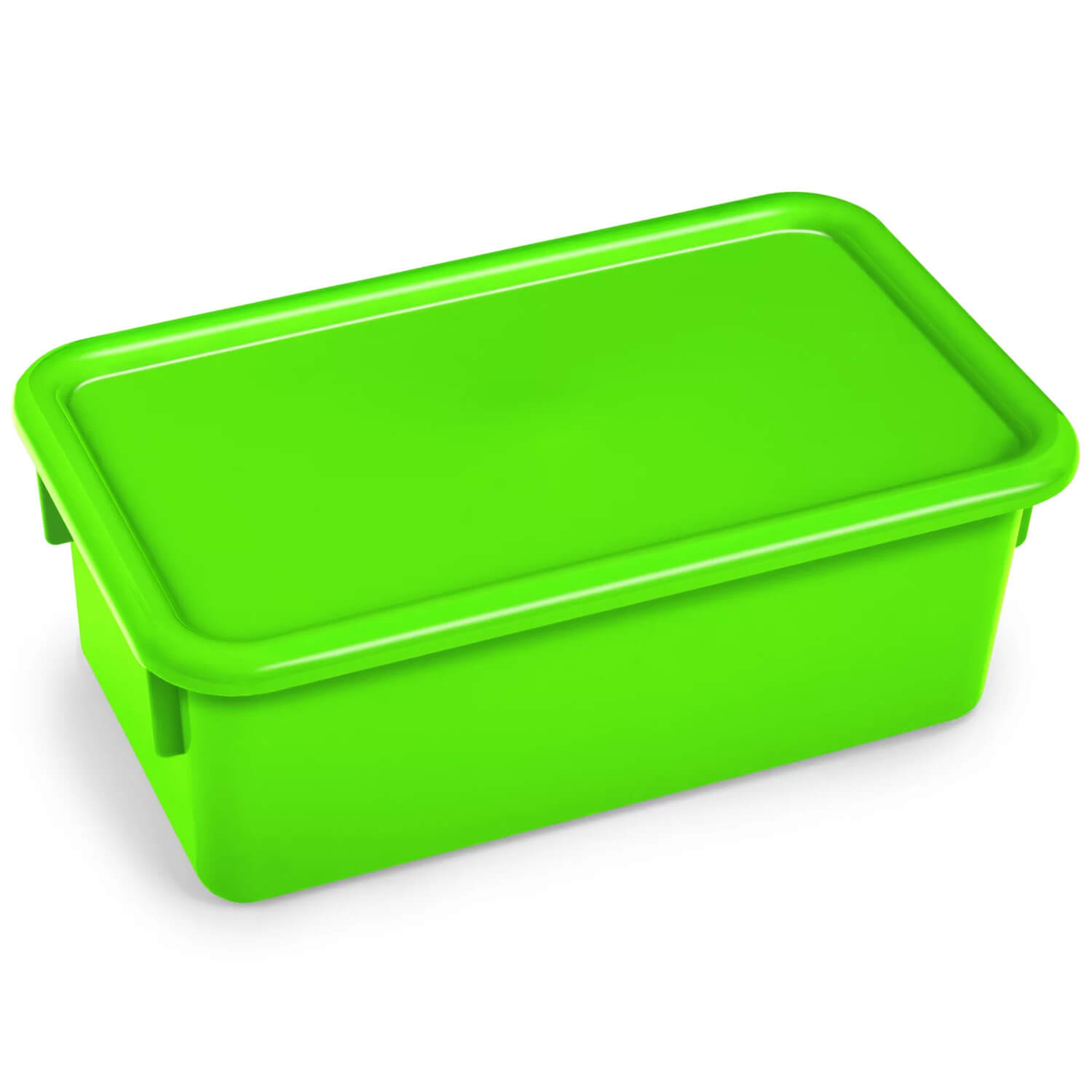 W17263589 Neon Heavy-Duty Storage Box with Lid