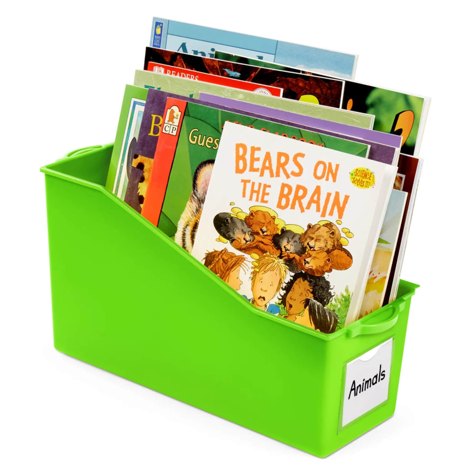 W17692768 Neon Connect & Store Book Bins